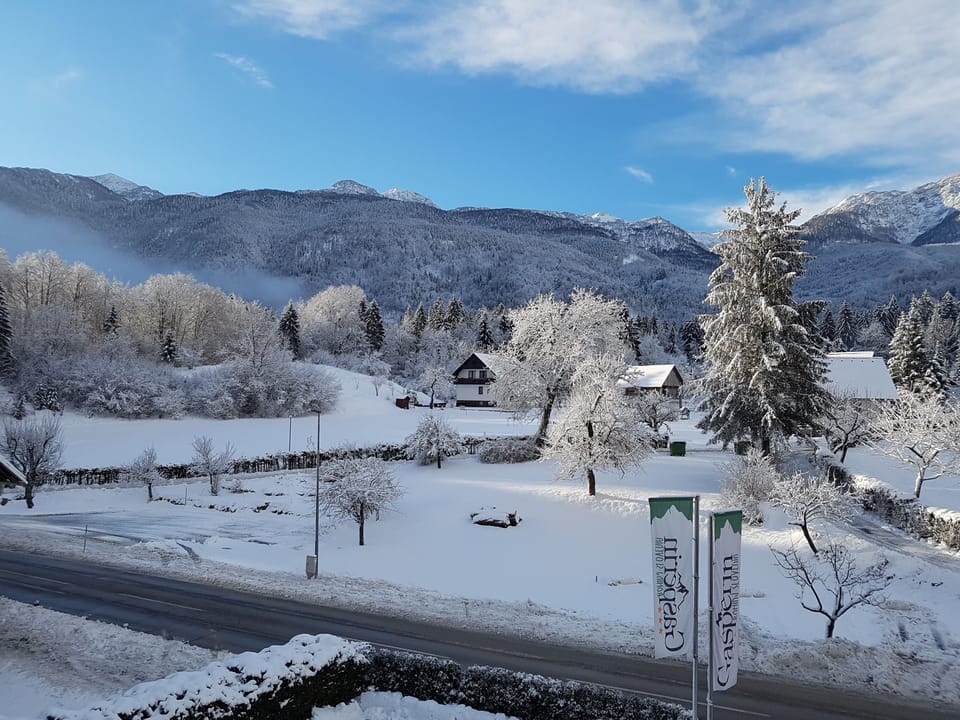 View from room