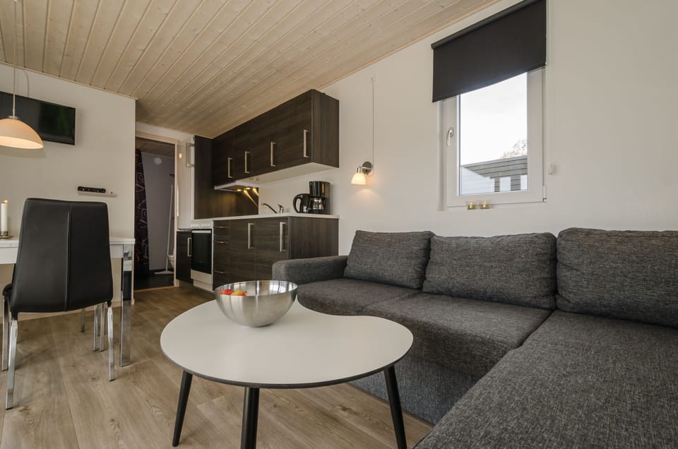 Luxury Cabin, Private Bathroom (Funkis)
