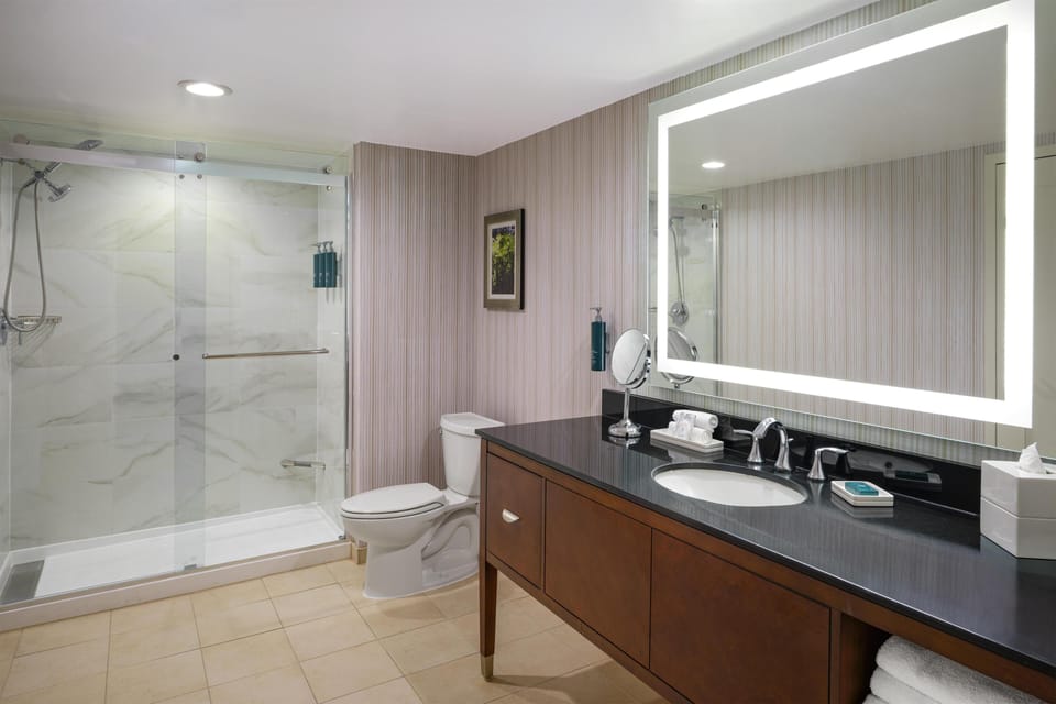 Suite, 1 King Bed | Bathroom shower