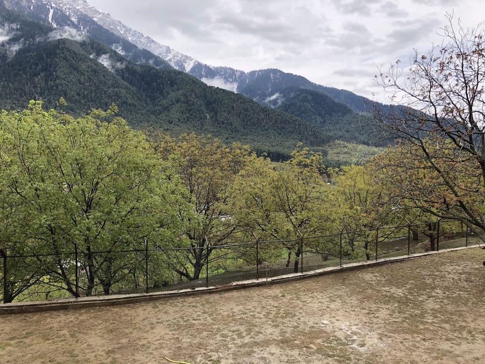 Mountain view