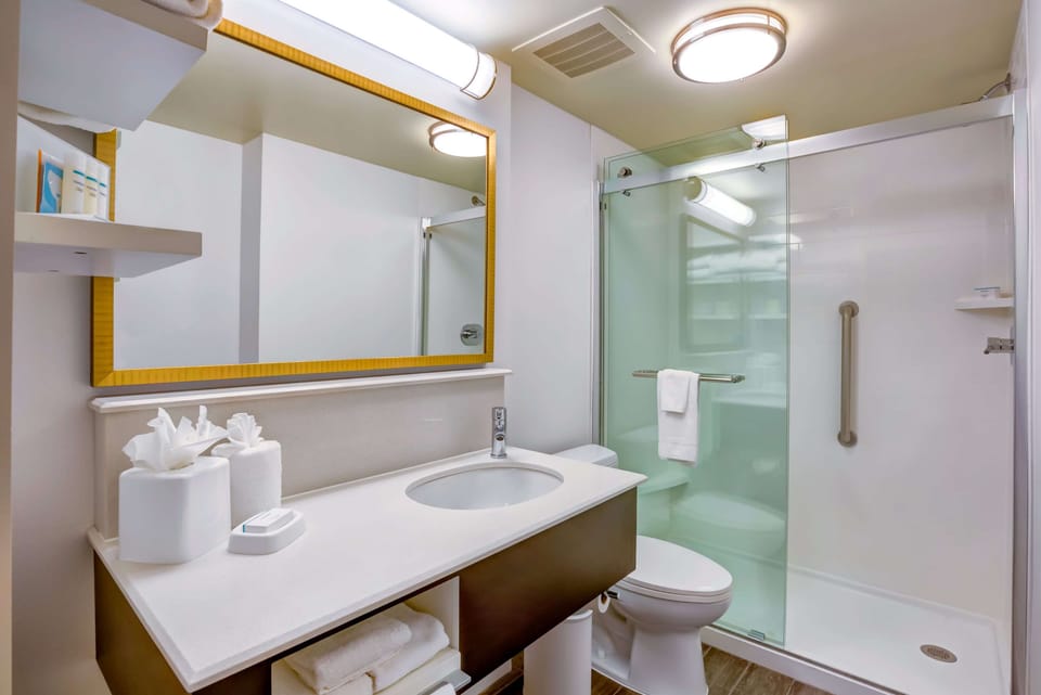 1 King Bed w/Sofabed and Kitchenette | Bathroom | Eco-friendly toiletries, hair dryer, towels, soap