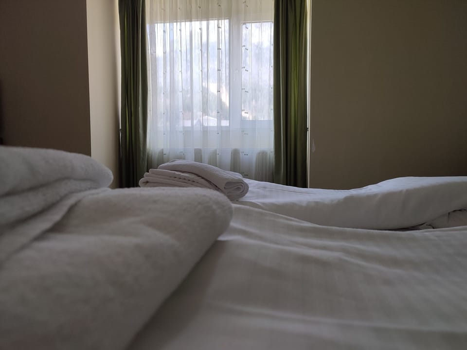 Standard Double or Twin Room | Desk, soundproofing, free WiFi, bed sheets