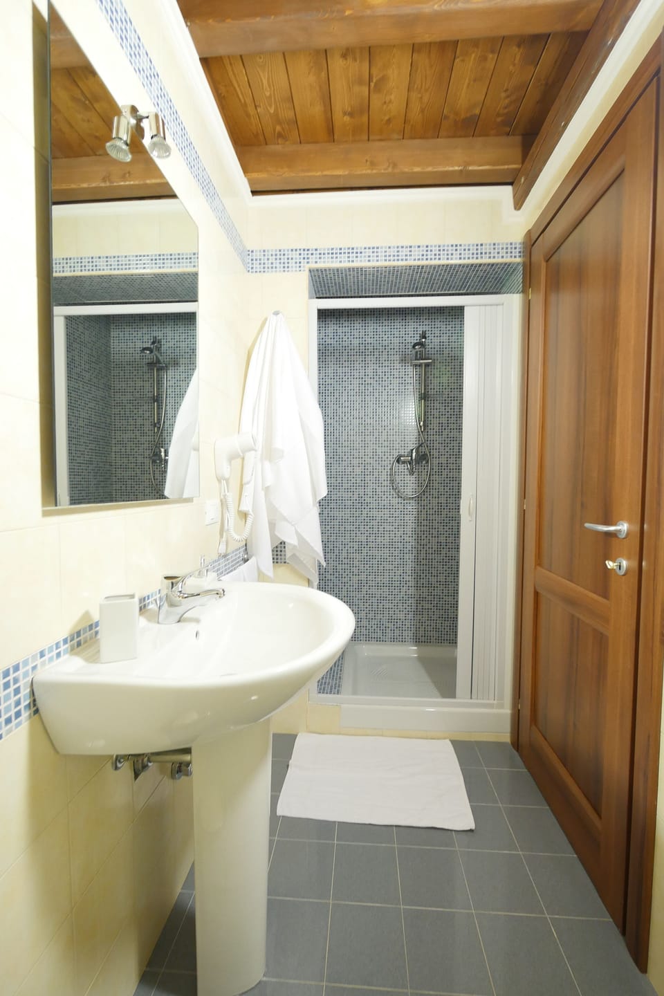 Shower, rainfall showerhead, bidet, towels