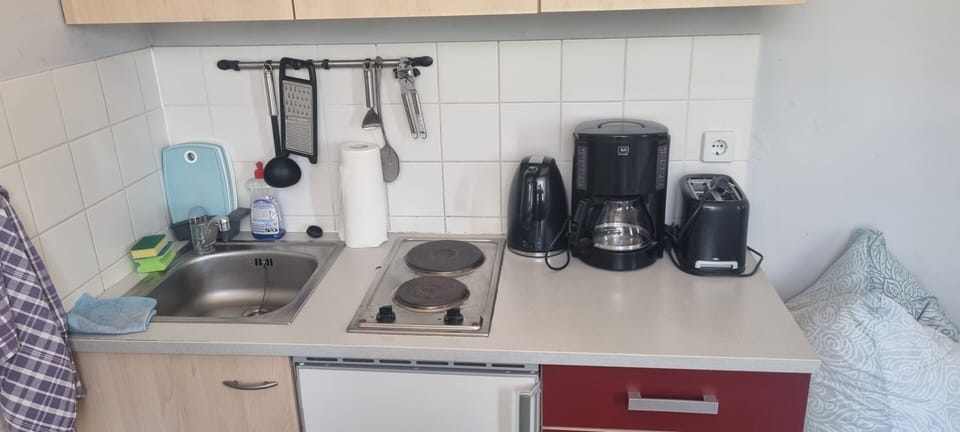 Basic Quadruple Room | Private kitchen | Fridge