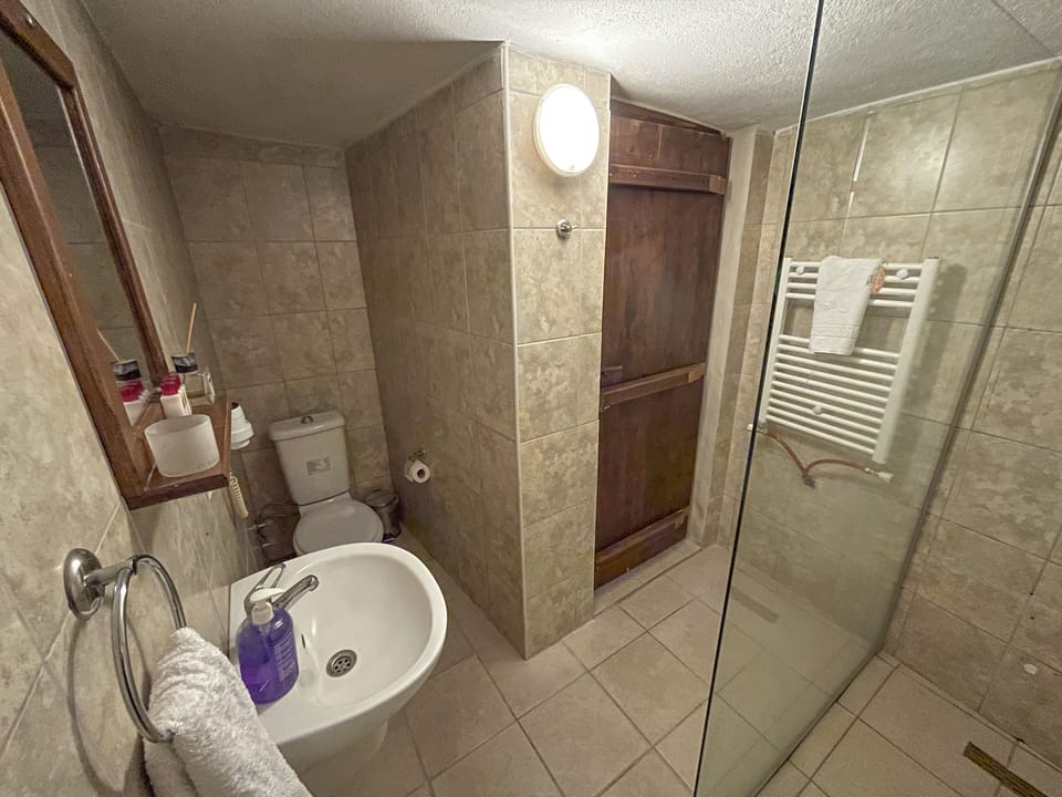Standard Triple Room | Bathroom | Shower, hair dryer, slippers, towels