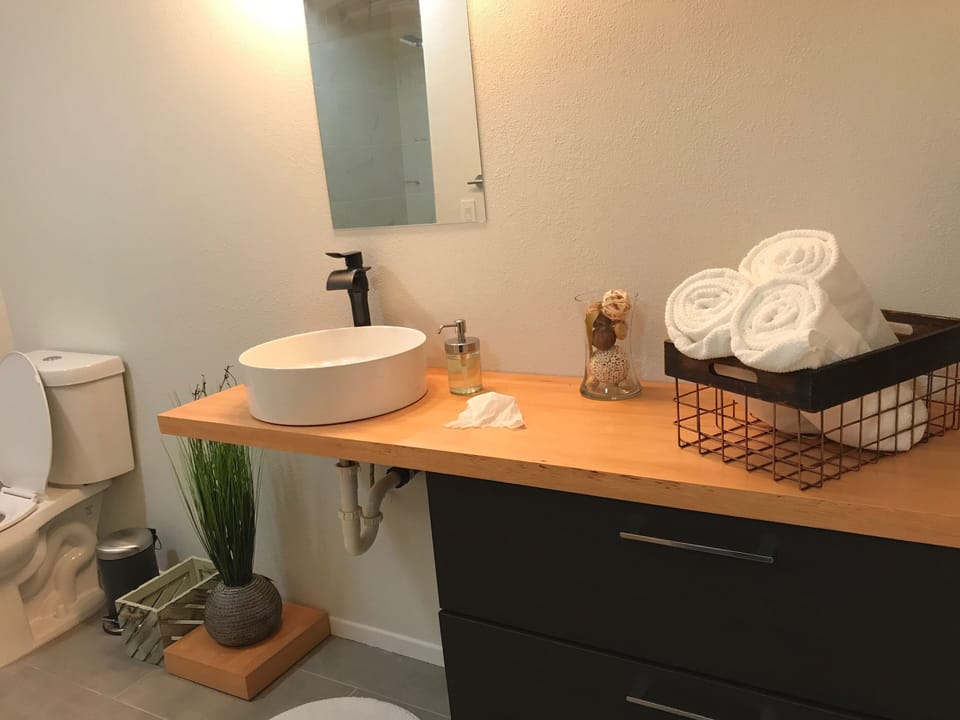 Bathroom Downstairs