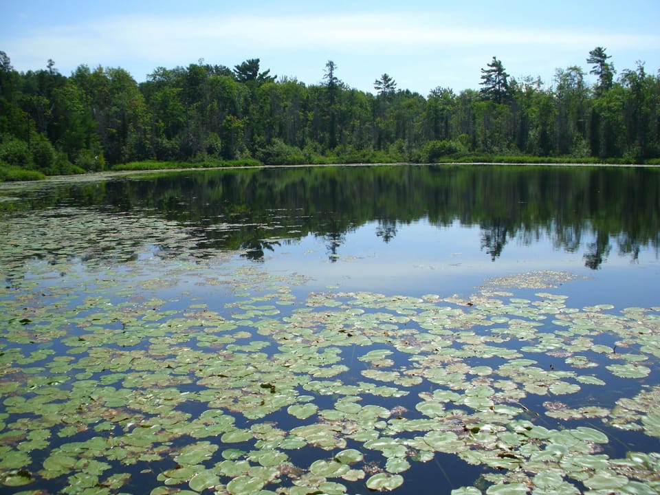 A beautiful view from the dock