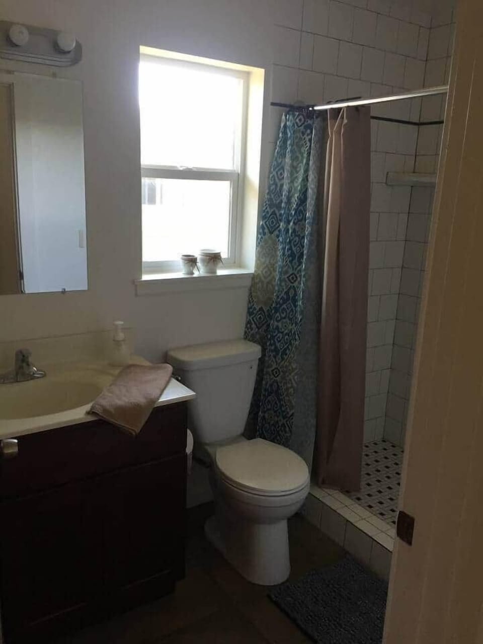 bathroom with walk-in shower