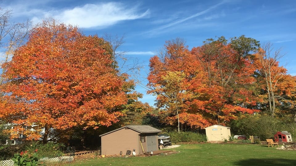 Fall view of Griffin Cottage..bountiful color of SW MI