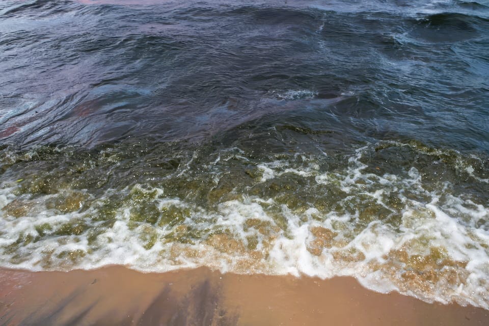 Beautiful swimming area with clear water and a mix of sand and gravel.