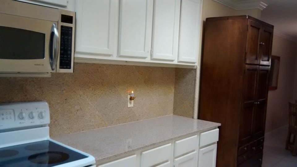 Plenty of counter space to use as a buffet. Dining room on right with view.