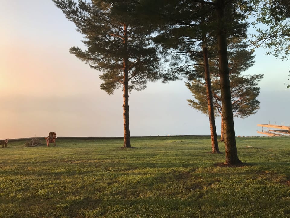 Back yard