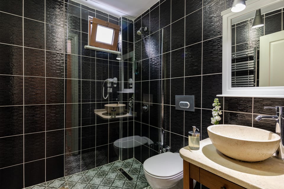 Shower, hair dryer, slippers, towels
