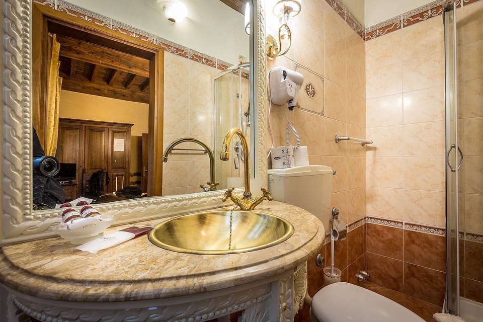 Deluxe Single Room | Bathroom | Shower, free toiletries, hair dryer, slippers