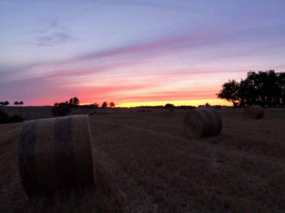 Sunset.. 