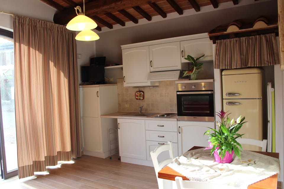 Apartment, 1 Bedroom | Private kitchen | Fridge, stovetop, coffee/tea maker, toaster