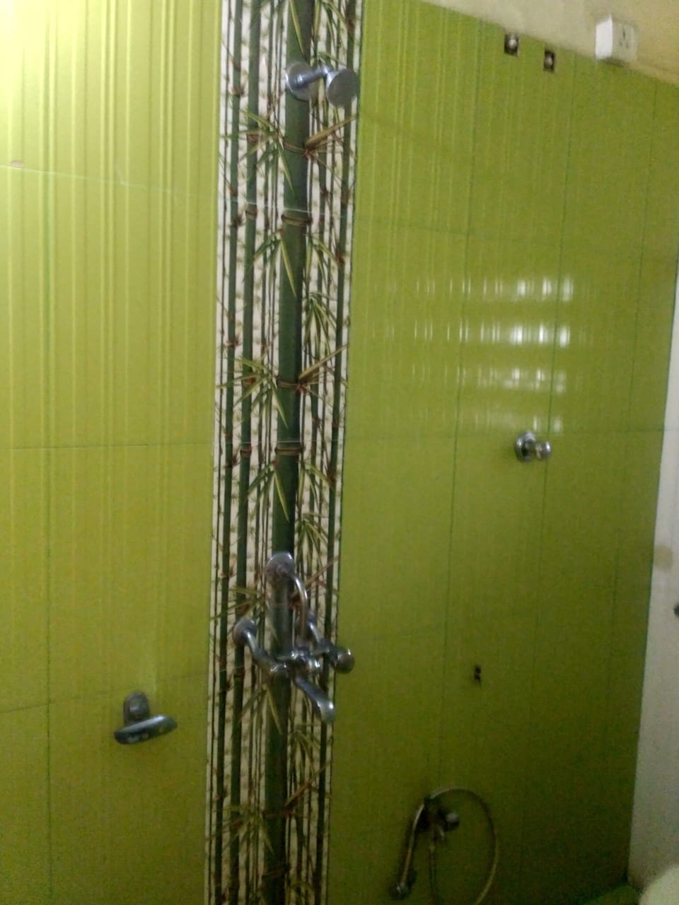 Standard Non Ac Double room | Bathroom | Shower, free toiletries