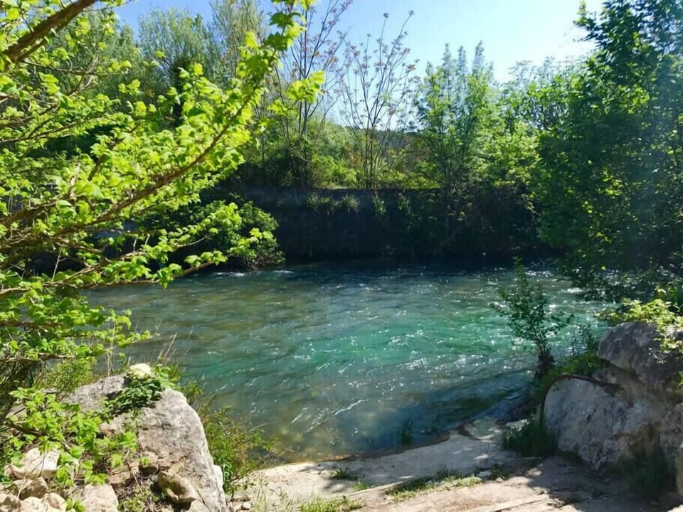 Private access to the nearby Sorgue river 