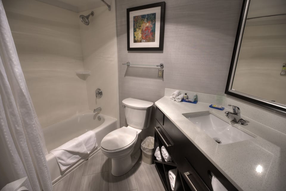 Combined shower/tub, rainfall showerhead, free toiletries, hair dryer