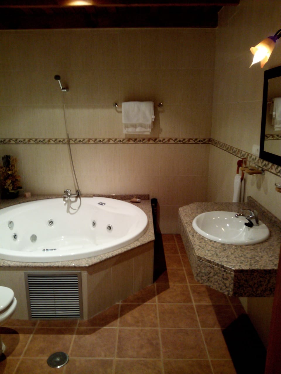 Jetted tub, free toiletries, hair dryer, bidet