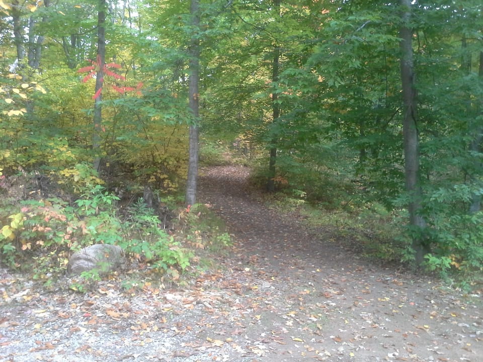 Over one half mile of groomed walking trails on property