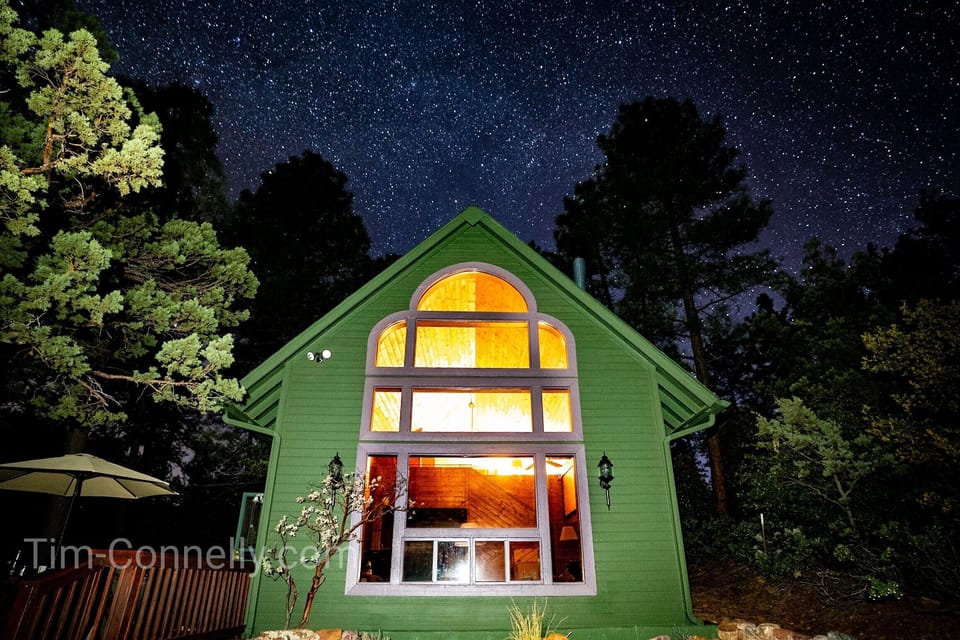 Nighttime in the forest 