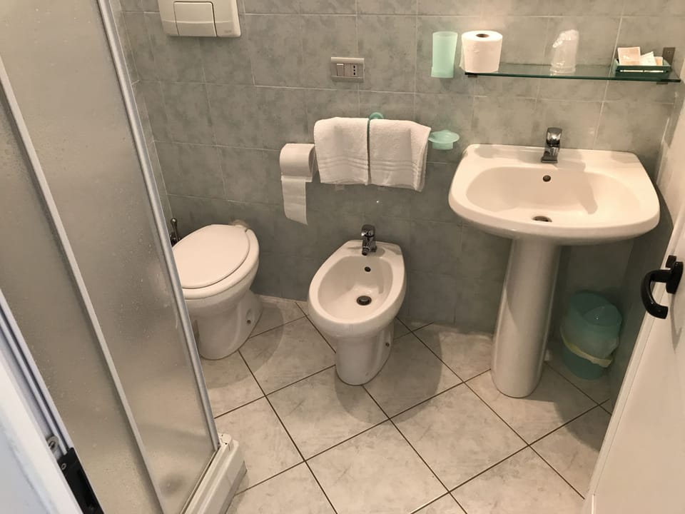 Standard Double Room | Bathroom | Shower, free toiletries, hair dryer, bidet