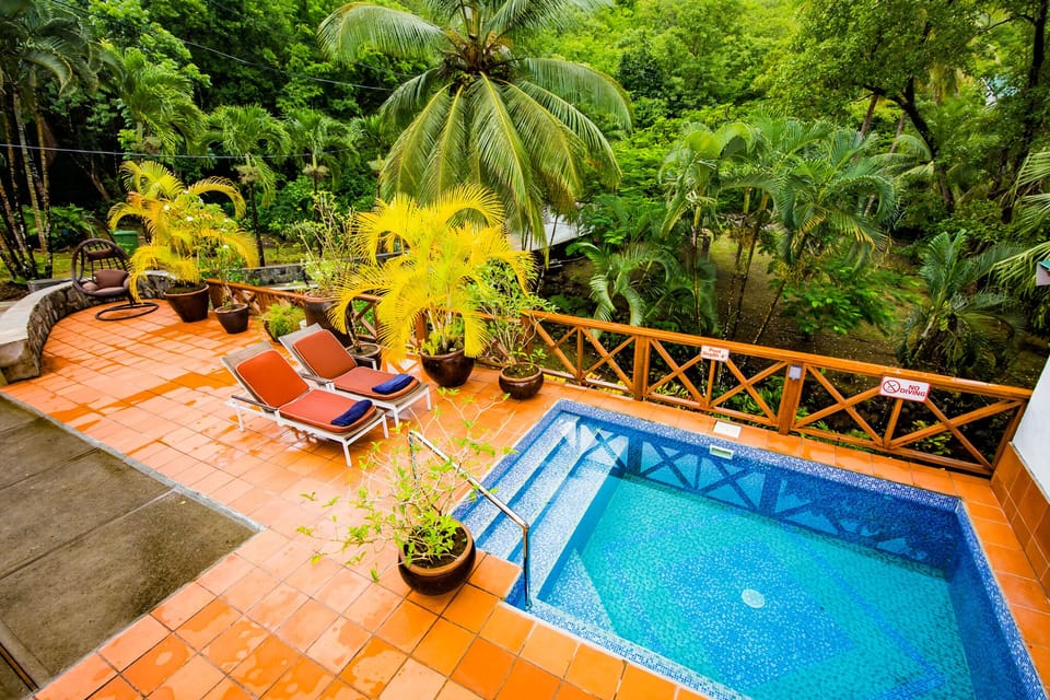 Plunge Pool at the front of Brogan Villa.