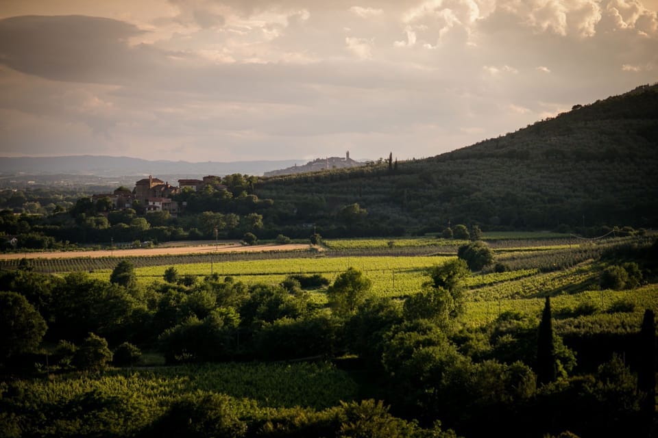 Panoramic view