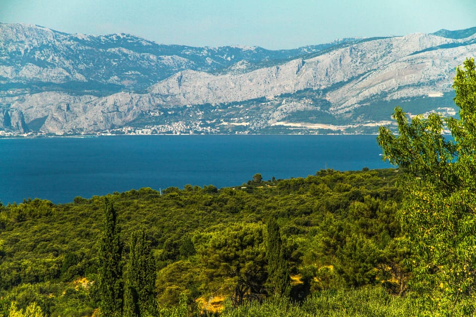 View to the Adriatic sea from the poolside