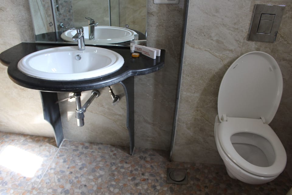 Deluxe Room | Bathroom | Shower, rainfall showerhead, free toiletries, towels