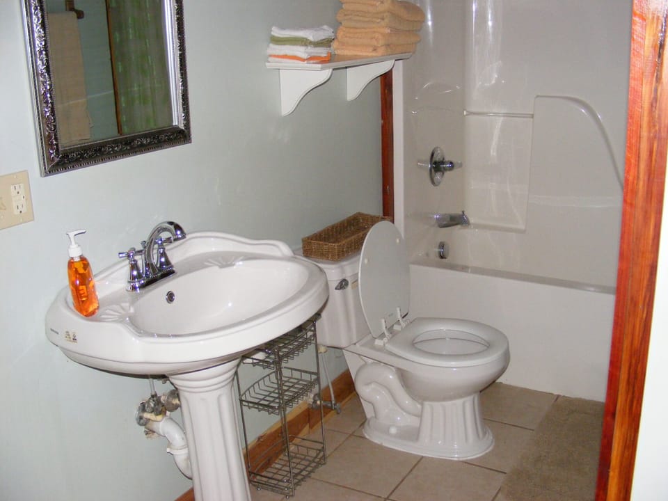full bathroom to main-level bedroom and main-level living area 