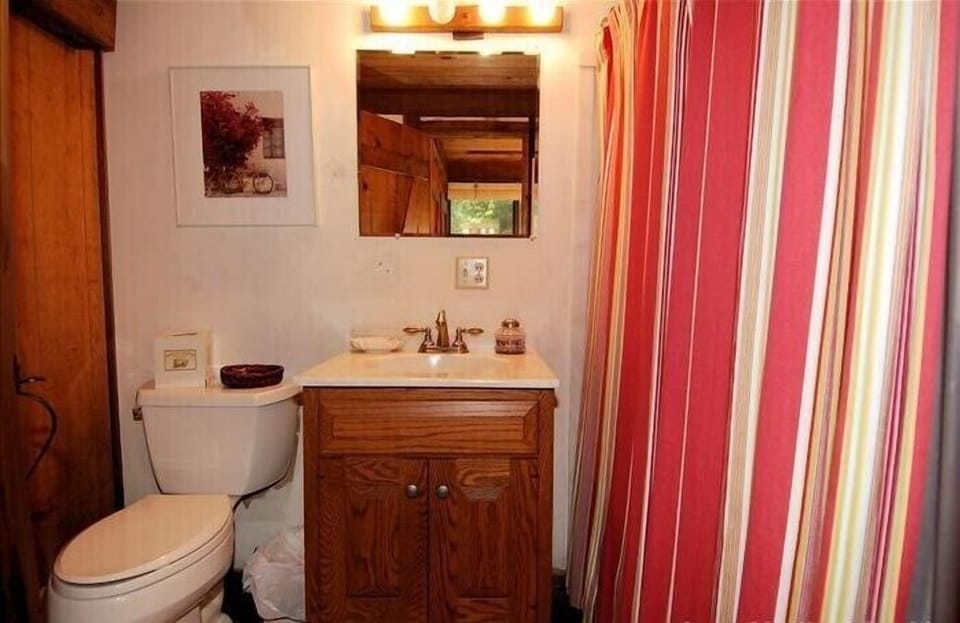 Master Bathroom 1