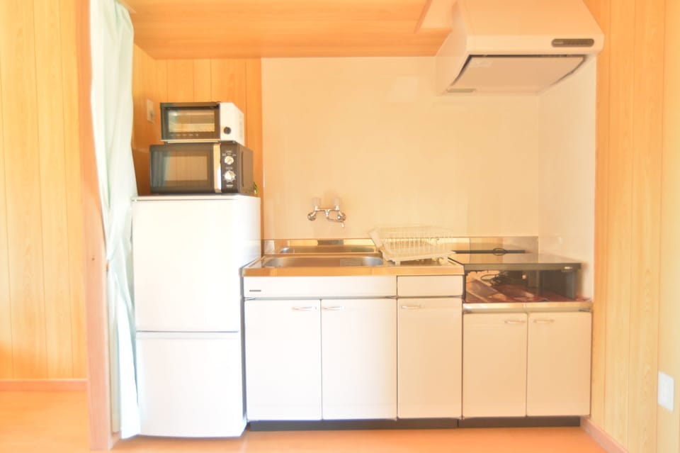 Fridge, microwave, electric kettle