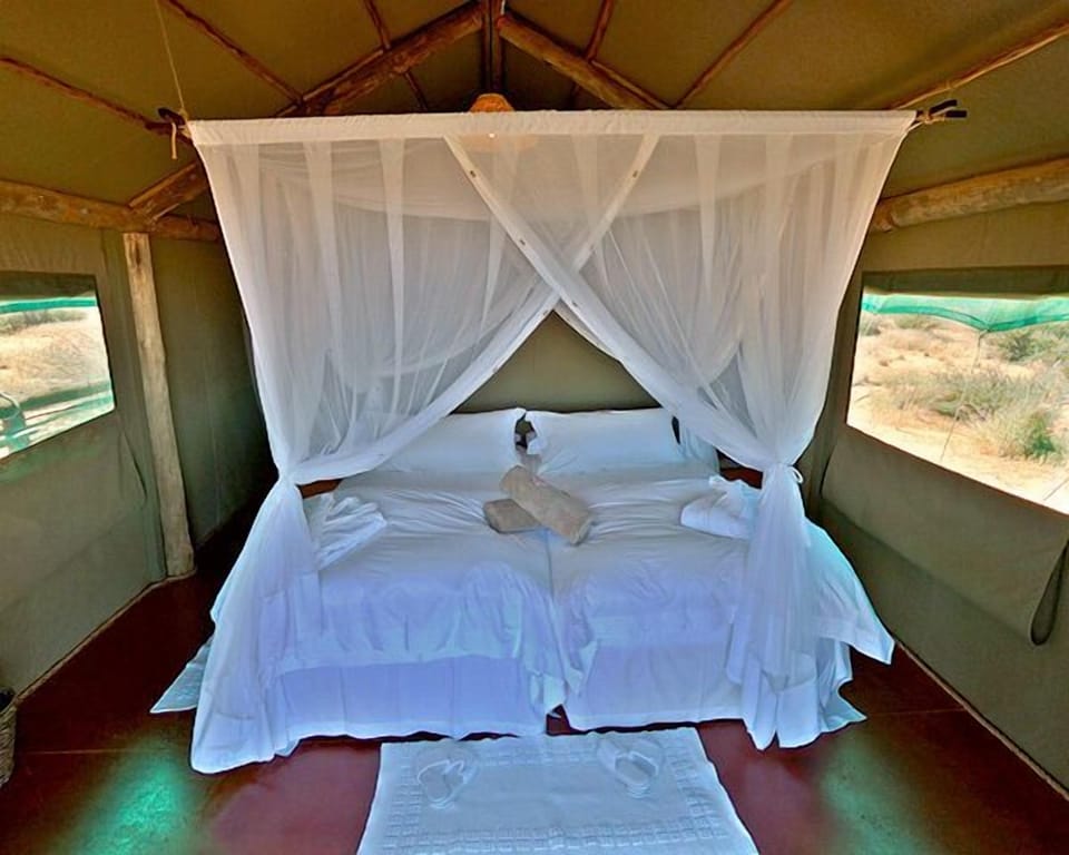 Premium bedding, in-room safe, WiFi (free), bed sheets