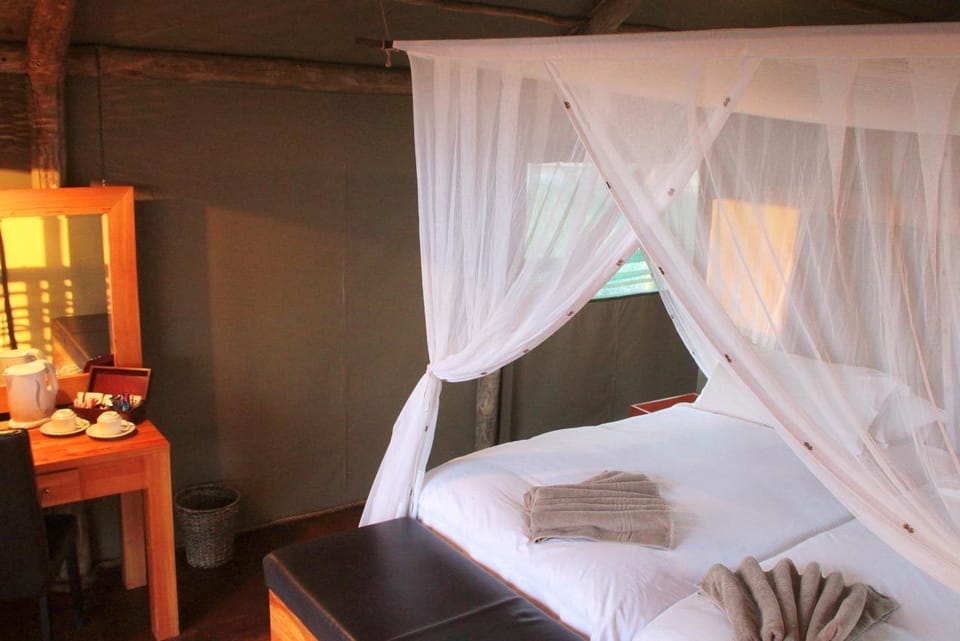 Premium bedding, in-room safe, WiFi (free), bed sheets