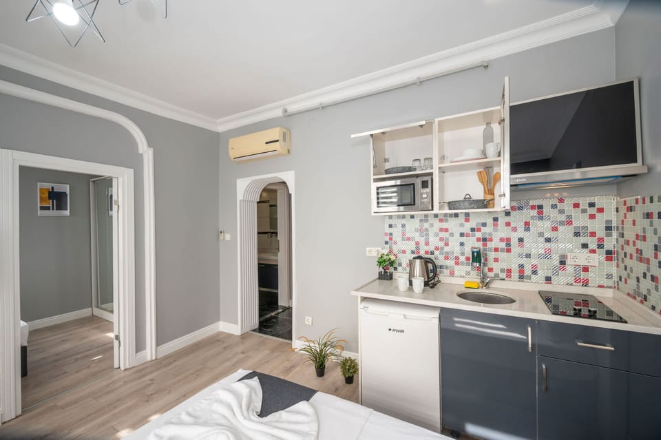 Fridge, microwave, stovetop, electric kettle