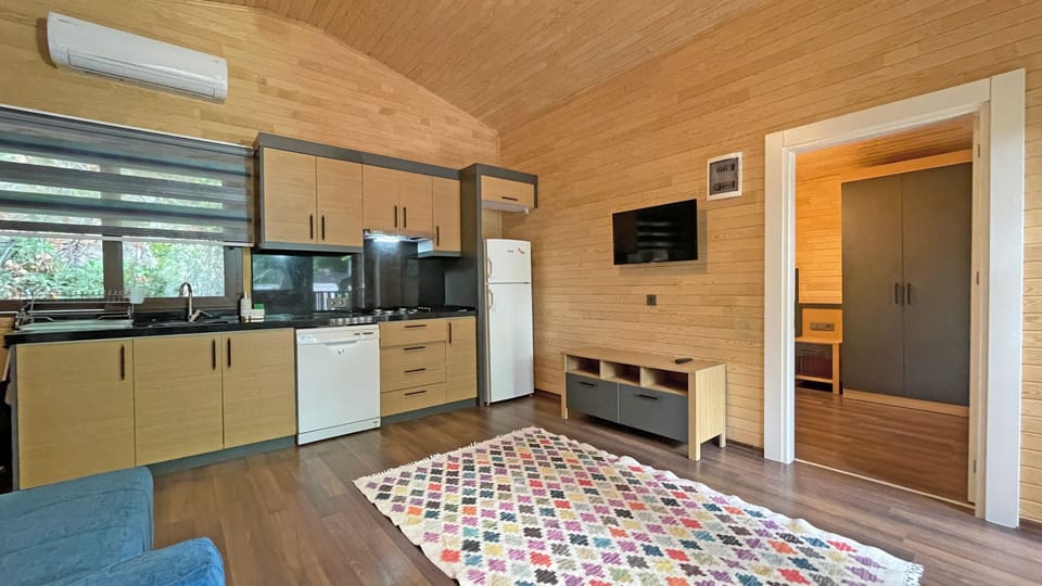 Family Apartment | Television