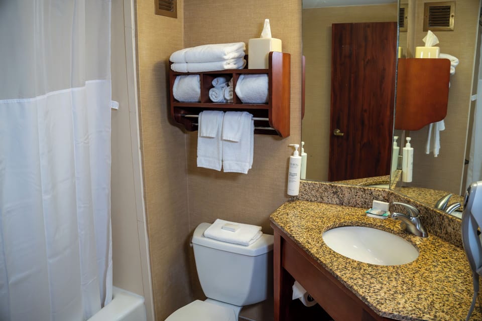 Free toiletries, hair dryer, bathrobes, towels