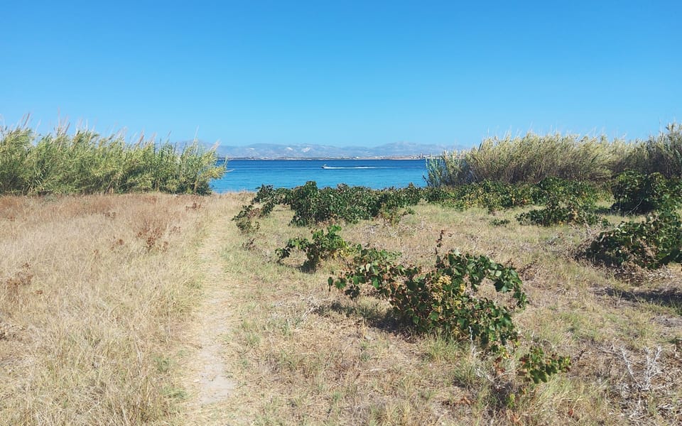 86 meters=282 ft from the house to the beach