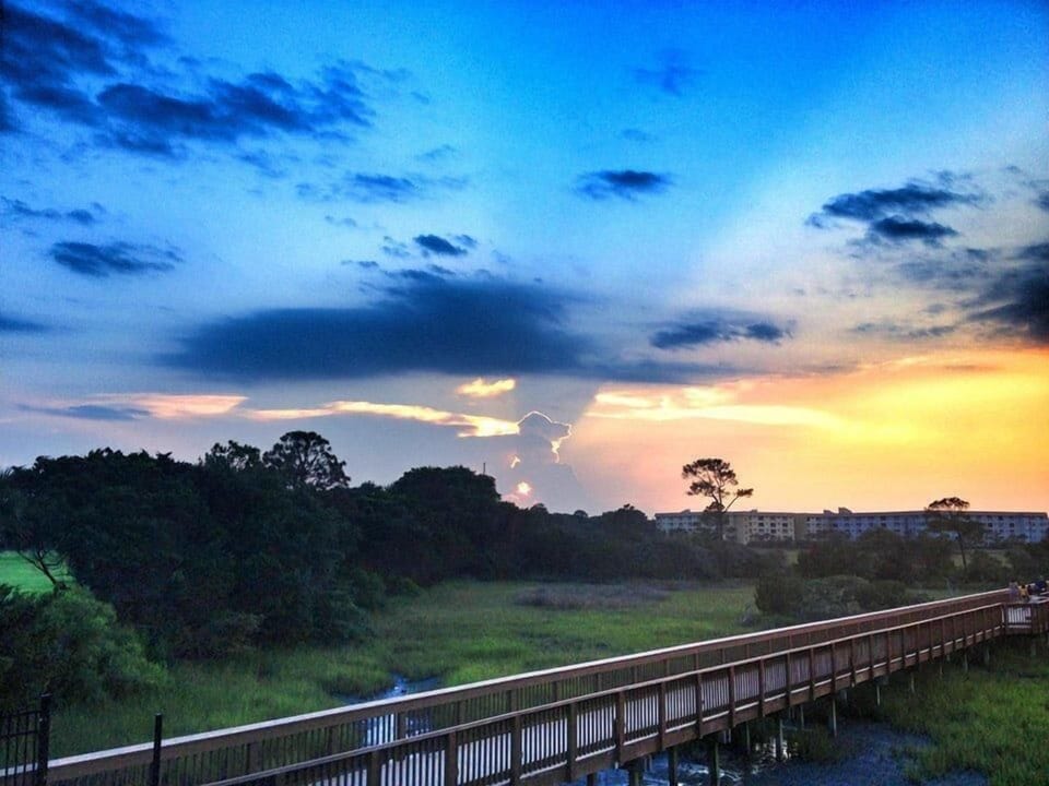 Marsh Views