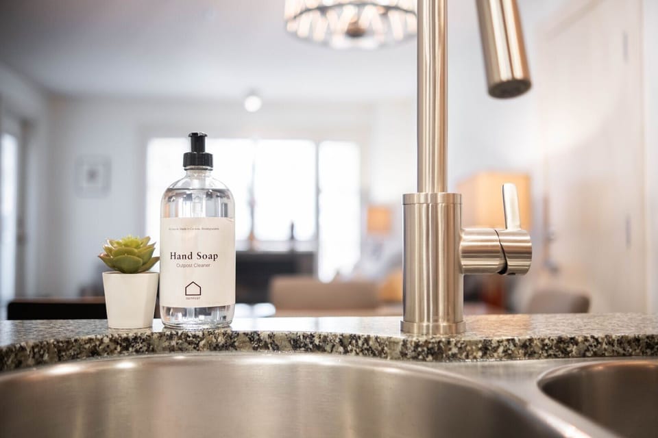 Complimentary hand and dish soap