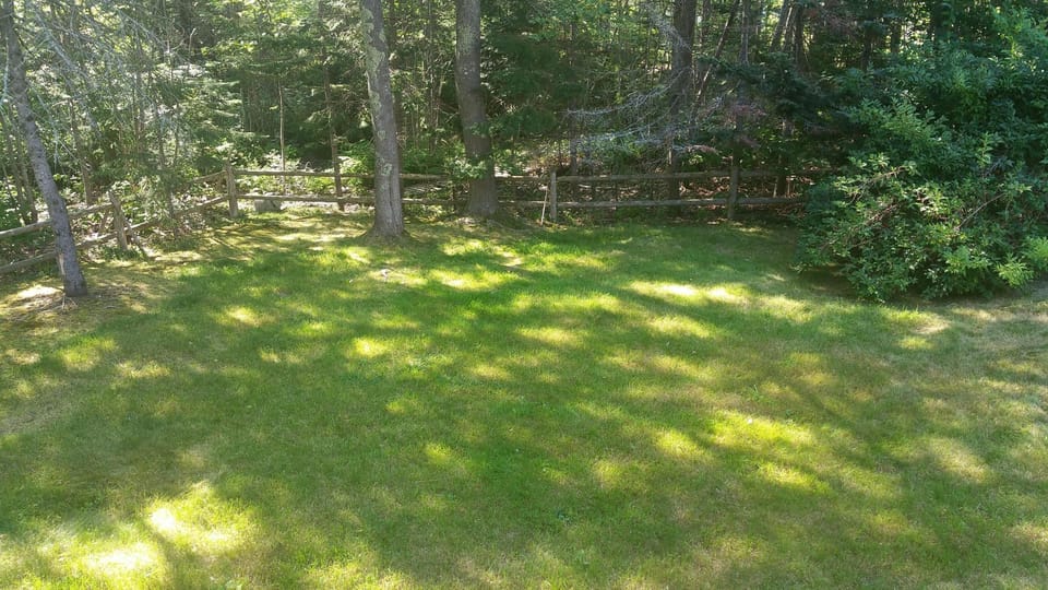 Back yard