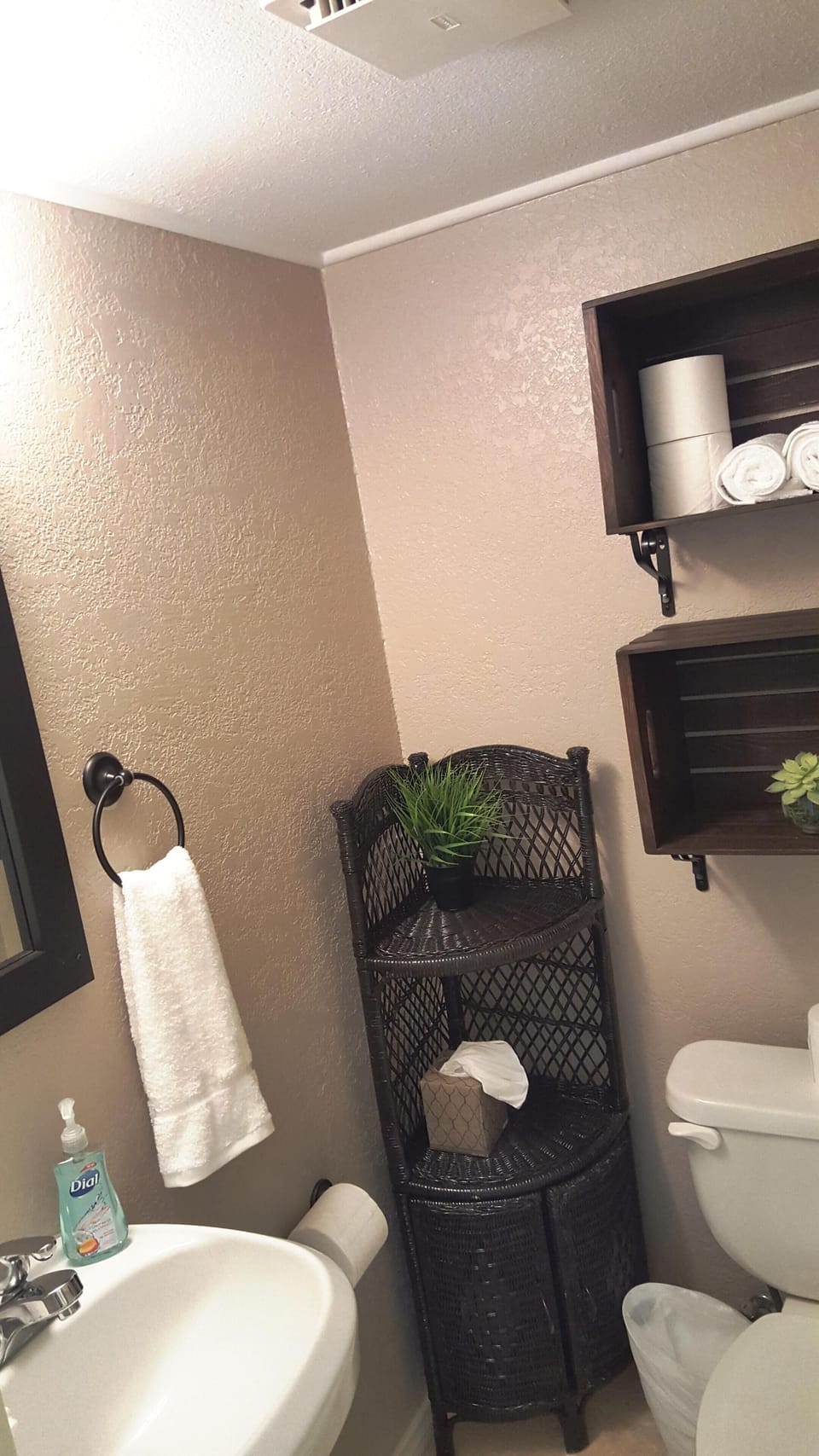 Downstairs half bathroom