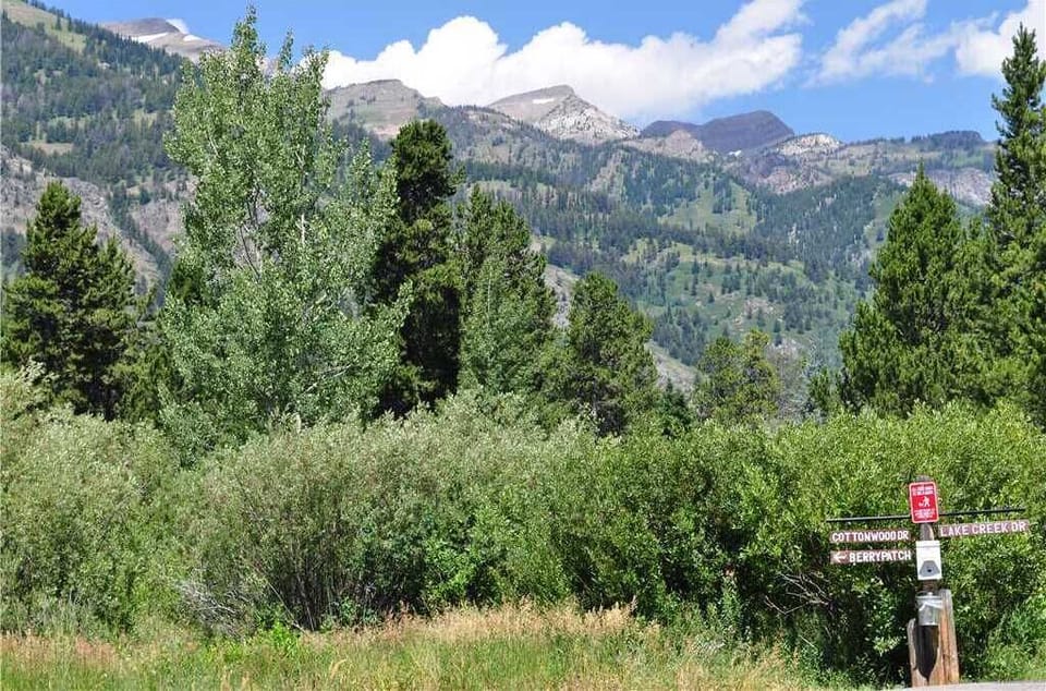 Entrance to Berry Patch