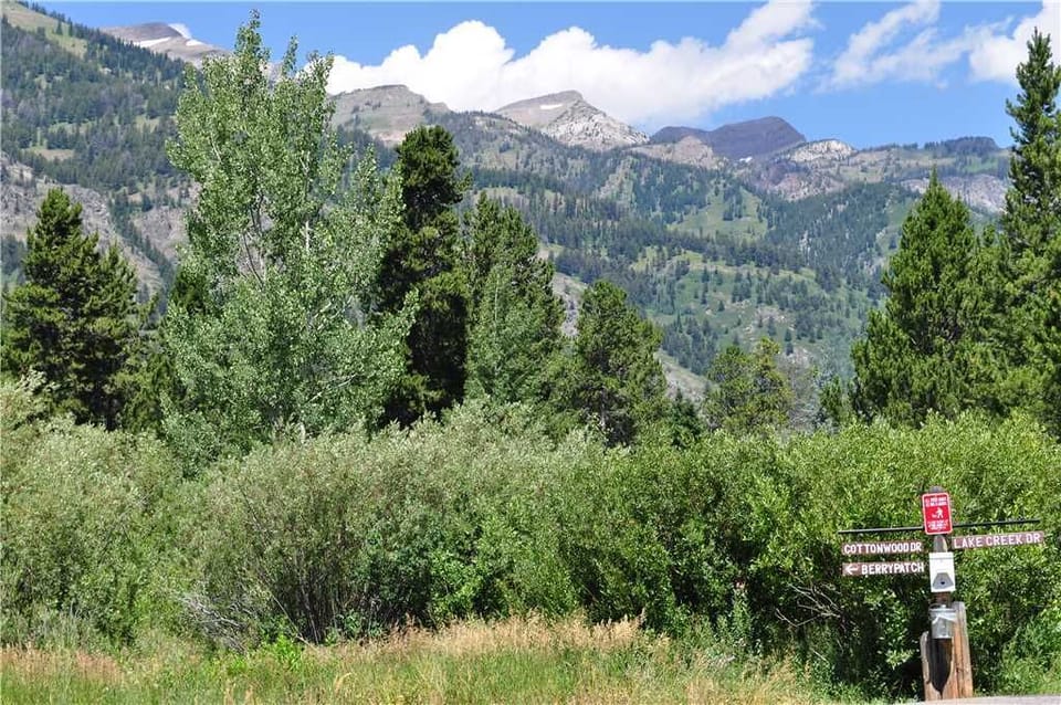 Entrance to Berry Patch