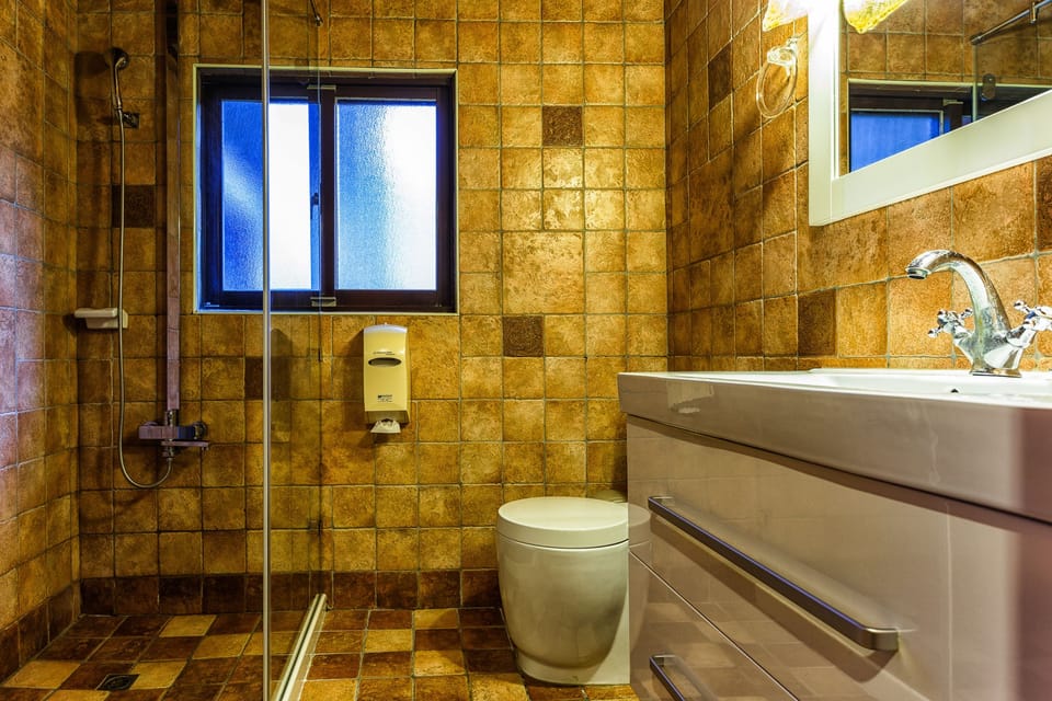 Shower, free toiletries, hair dryer, slippers