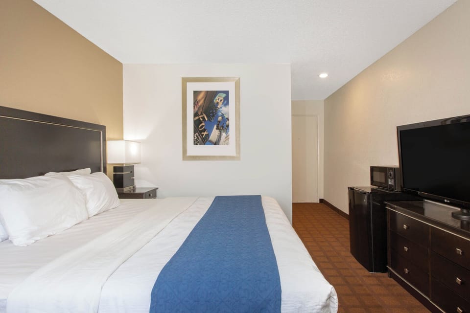 Basic Single Room | Desk, blackout drapes, iron/ironing board, free WiFi