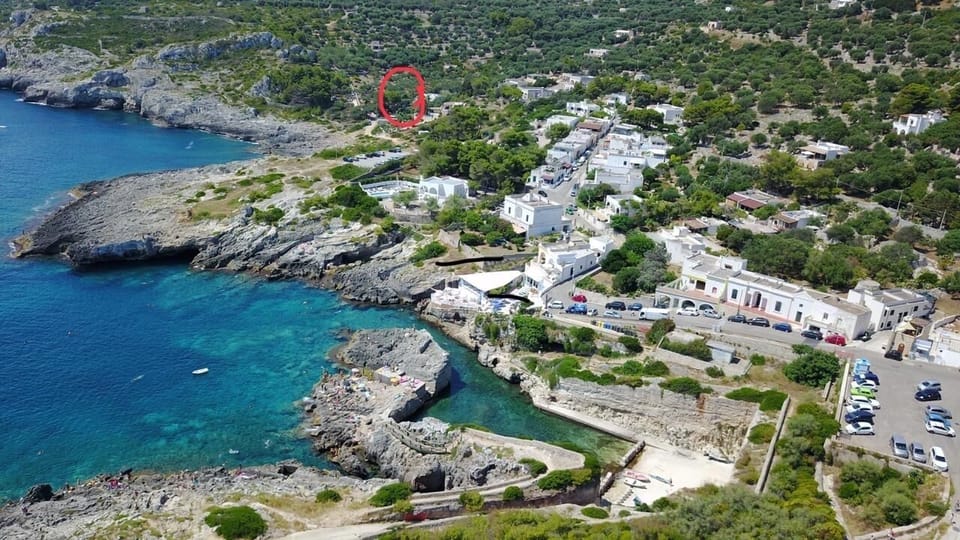 Ammare is right on the sea, where red circle is   