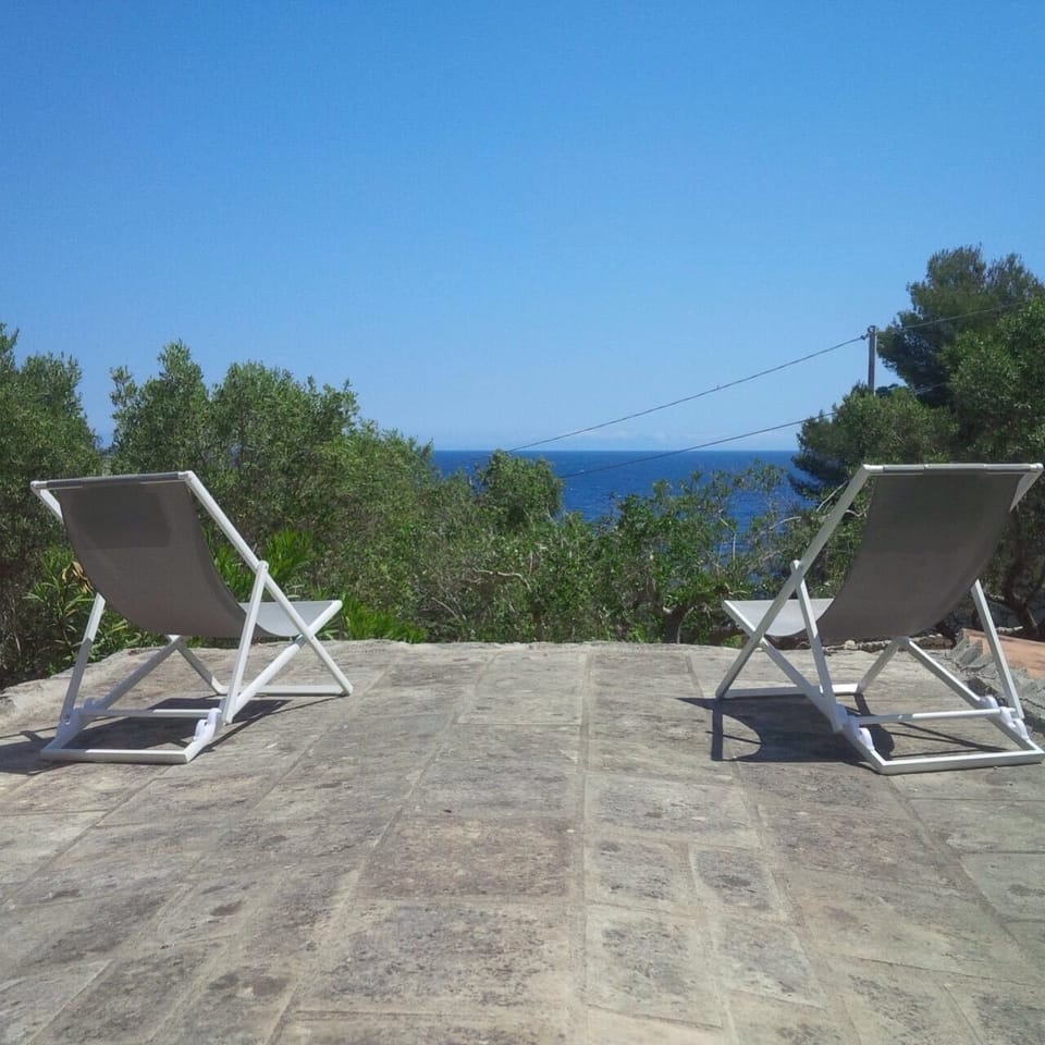 View from rooftop 